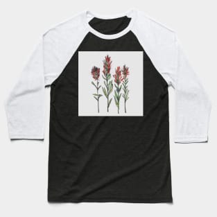 Wildflower Sketch Indian Paintbrush Baseball T-Shirt